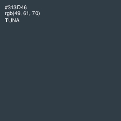 #313D46 - Tuna Color Image