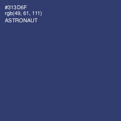 #313D6F - Astronaut Color Image