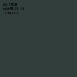 #313E3B - Tuatara Color Image