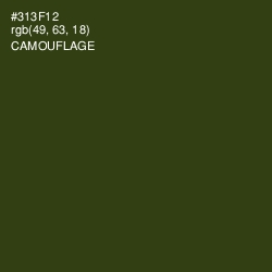 #313F12 - Camouflage Color Image