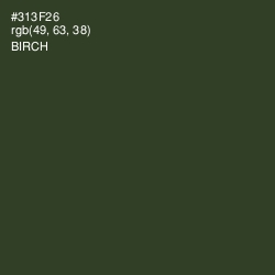 #313F26 - Birch Color Image