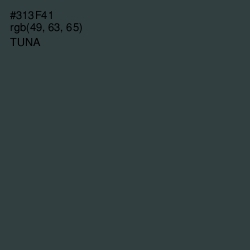 #313F41 - Tuna Color Image