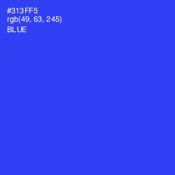 #313FF5 - Blue Color Image