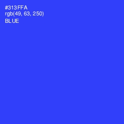 #313FFA - Blue Color Image