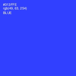 #313FFE - Blue Color Image