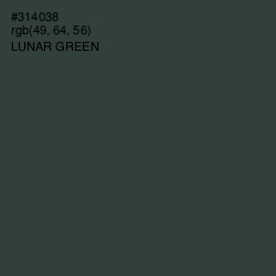 #314038 - Lunar Green Color Image