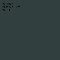 #31403F - Lunar Green Color Image