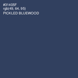 #31405F - Pickled Bluewood Color Image