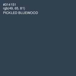 #314151 - Pickled Bluewood Color Image