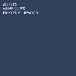 #31415D - Pickled Bluewood Color Image