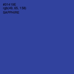 #31419E - Sapphire Color Image