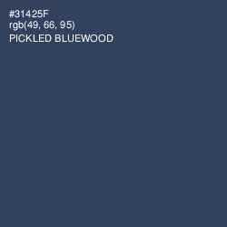 #31425F - Pickled Bluewood Color Image