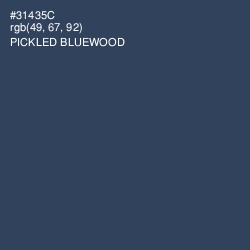 #31435C - Pickled Bluewood Color Image