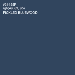 #31455F - Pickled Bluewood Color Image