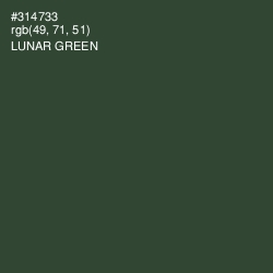 #314733 - Lunar Green Color Image