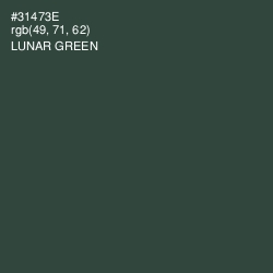 #31473E - Lunar Green Color Image