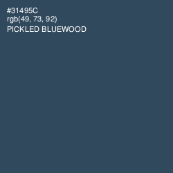 #31495C - Pickled Bluewood Color Image