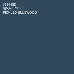 #31495D - Pickled Bluewood Color Image