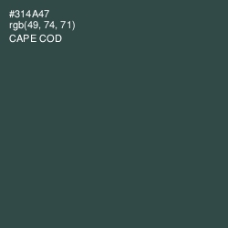 #314A47 - Cape Cod Color Image