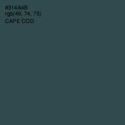 #314A4B - Cape Cod Color Image