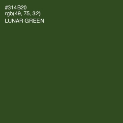 #314B20 - Lunar Green Color Image