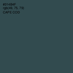 #314B4F - Cape Cod Color Image