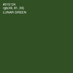 #315124 - Lunar Green Color Image