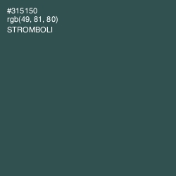 #315150 - Stromboli Color Image