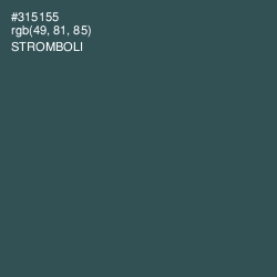 #315155 - Stromboli Color Image