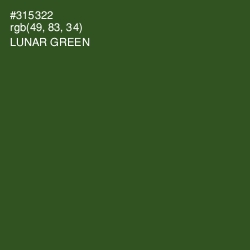 #315322 - Lunar Green Color Image