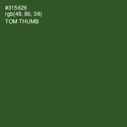 #315626 - Tom Thumb Color Image