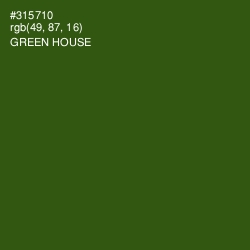 #315710 - Green House Color Image