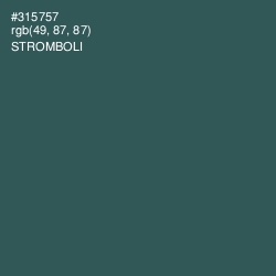 #315757 - Stromboli Color Image