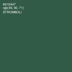 #315A47 - Stromboli Color Image