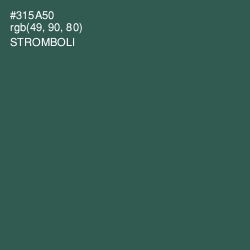 #315A50 - Stromboli Color Image