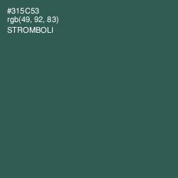 #315C53 - Stromboli Color Image