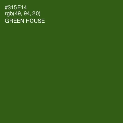 #315E14 - Green House Color Image