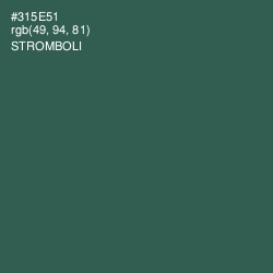 #315E51 - Stromboli Color Image