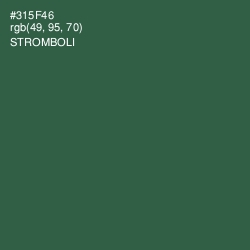 #315F46 - Stromboli Color Image