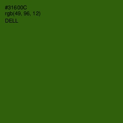 #31600C - Dell Color Image