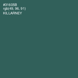 #31605B - Killarney Color Image