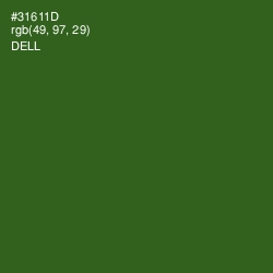 #31611D - Dell Color Image