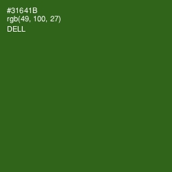 #31641B - Dell Color Image