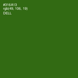 #316A13 - Dell Color Image