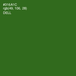 #316A1C - Dell Color Image