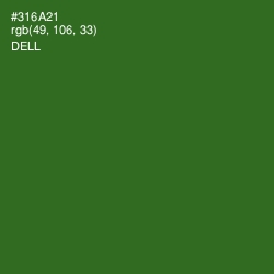 #316A21 - Dell Color Image