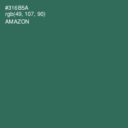 #316B5A - Amazon Color Image