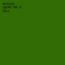 #316C05 - Dell Color Image