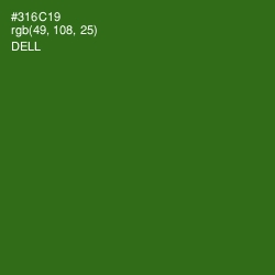 #316C19 - Dell Color Image