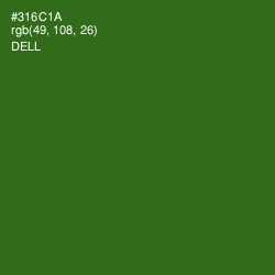 #316C1A - Dell Color Image